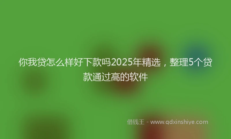 你我贷怎么样好下款吗2025年精选，整理5个贷款通过高的软件