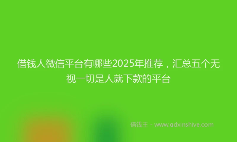 借钱人微信平台有哪些2025年推荐，汇总五个无视一切是人就下款的平台