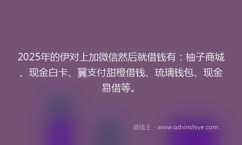 2025年的伊对上加微信然后就借钱有：柚子商城、现金白卡、翼支付甜橙借钱、琉璃钱包、现金易借等。