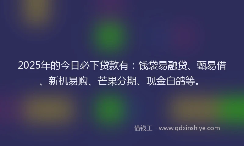 2025年的今日必下贷款有：钱袋易融贷、甄易借、新机易购、芒果分期、现金白鸽等。