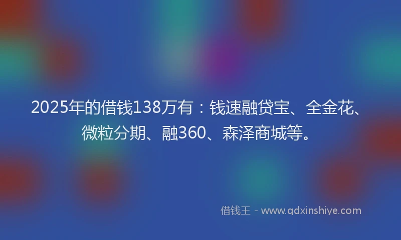 2025年的借钱138万有：钱速融贷宝、全金花、微粒分期、融360、森泽商城等。