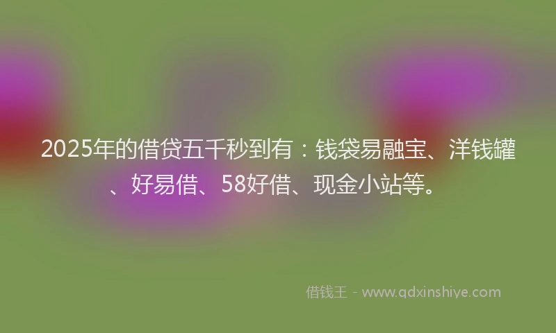 2025年的借贷五千秒到有：钱袋易融宝、洋钱罐、好易借、58好借、现金小站等。
