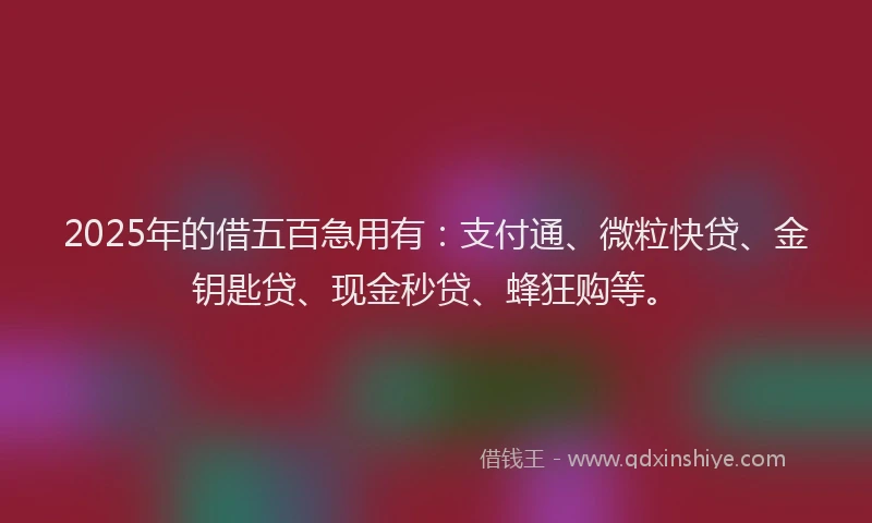 2025年的借五百急用有：支付通、微粒快贷、金钥匙贷、现金秒贷、蜂狂购等。