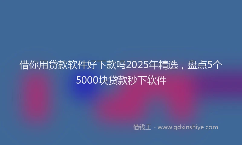 借你用贷款软件好下款吗2025年精选，盘点5个5000块贷款秒下软件