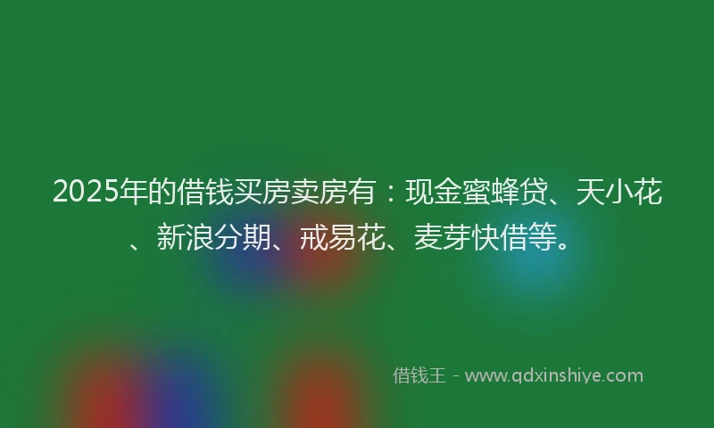 2025年的借钱买房卖房有：现金蜜蜂贷、天小花、新浪分期、戒易花、麦芽快借等。
