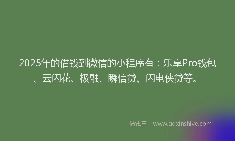 2025年的借钱到微信的小程序有：乐享Pro钱包、云闪花、极融、瞬信贷、闪电侠贷等。