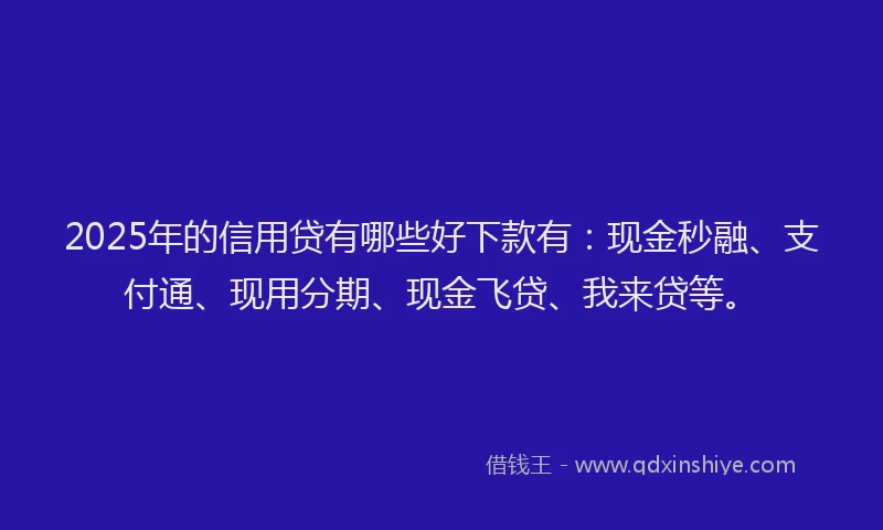 2025年的信用贷有哪些好下款有：现金秒融、支付通、现用分期、现金飞贷、我来贷等。