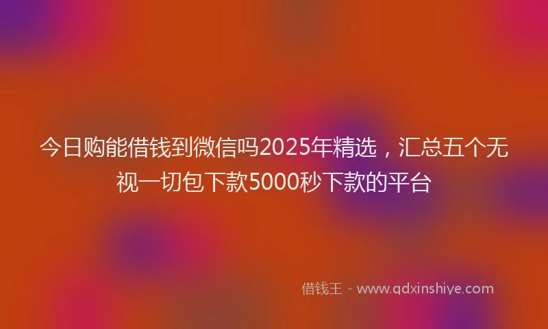 今日购能借钱到微信吗2025年精选，汇总五个无视一切包下款5000秒下款的平台
