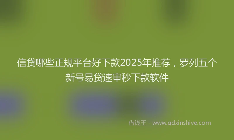 信贷哪些正规平台好下款2025年推荐，罗列五个新号易贷速审秒下款软件