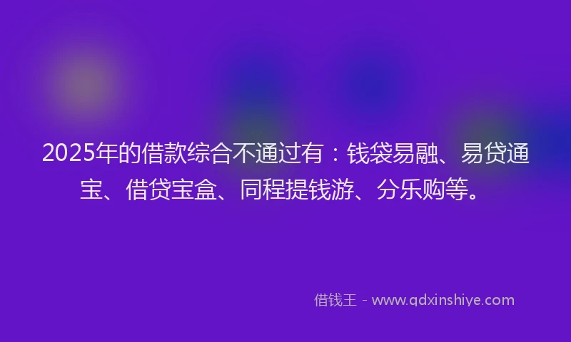 2025年的借款综合不通过有：钱袋易融、易贷通宝、借贷宝盒、同程提钱游、分乐购等。