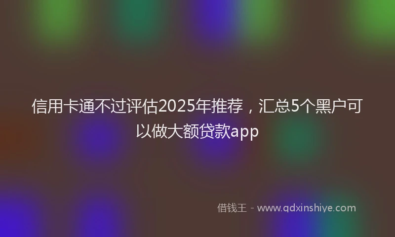 信用卡通不过评估2025年推荐，汇总5个黑户可以做大额贷款app