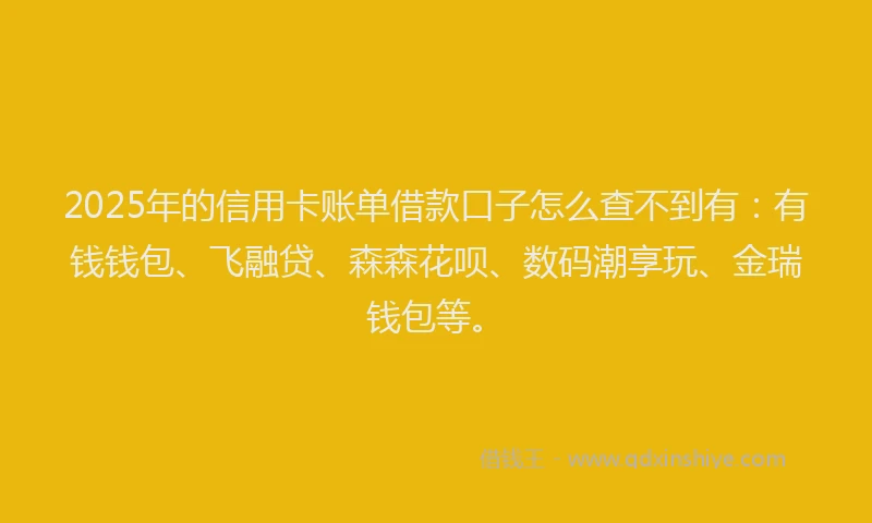 2025年的信用卡账单借款口子怎么查不到有：有钱钱包、飞融贷、森森花呗、数码潮享玩、金瑞钱包等。