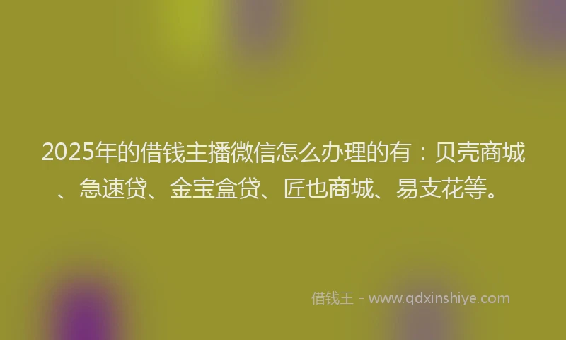 2025年的借钱主播微信怎么办理的有：贝壳商城、急速贷、金宝盒贷、匠也商城、易支花等。