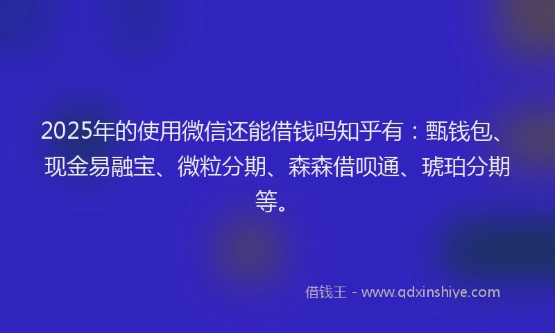 2025年的使用微信还能借钱吗知乎有：甄钱包、现金易融宝、微粒分期、森森借呗通、琥珀分期等。