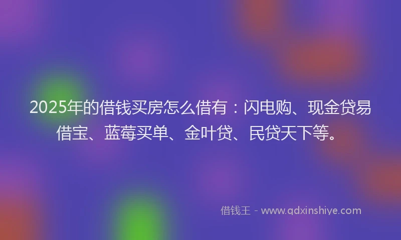 2025年的借钱买房怎么借有：闪电购、现金贷易借宝、蓝莓买单、金叶贷、民贷天下等。