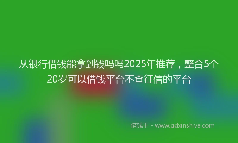 从银行借钱能拿到钱吗吗2025年推荐，整合5个20岁可以借钱平台不查征信的平台