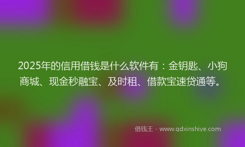 2025年的信用借钱是什么软件有：金钥匙、小狗商城、现金秒融宝、及时租、借款宝速贷通等。