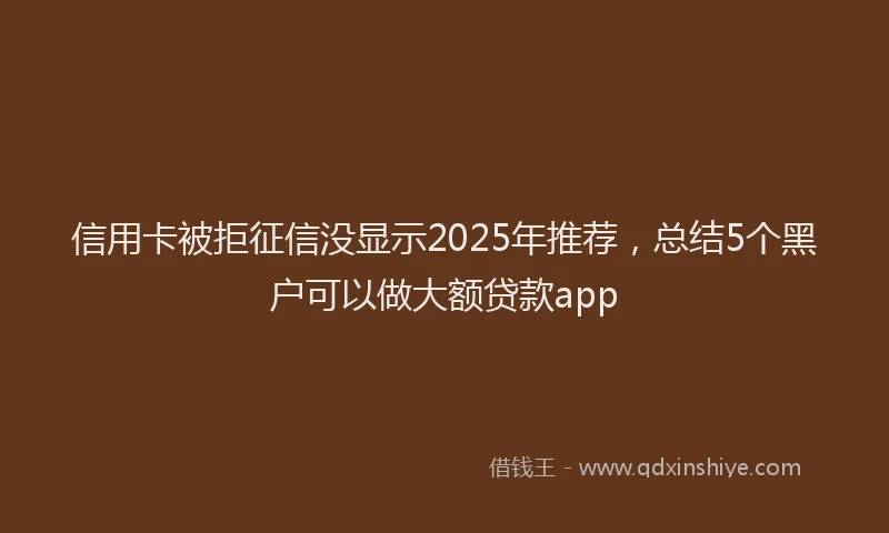 信用卡被拒征信没显示2025年推荐，总结5个黑户可以做大额贷款app