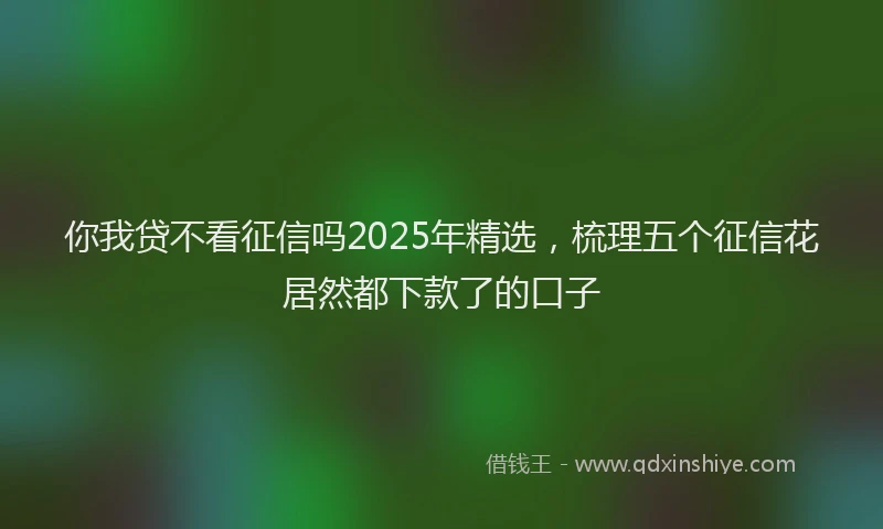 你我贷不看征信吗2025年精选，梳理五个征信花居然都下款了的口子