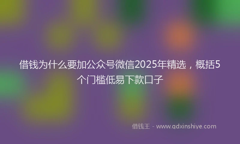借钱为什么要加公众号微信2025年精选，概括5个门槛低易下款口子