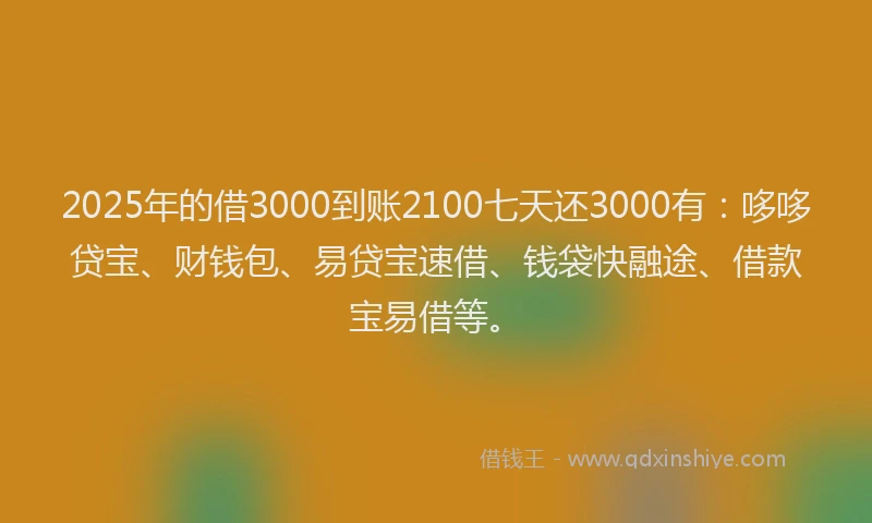 2025年的借3000到账2100七天还3000有：哆哆贷宝、财钱包、易贷宝速借、钱袋快融途、借款宝易借等。