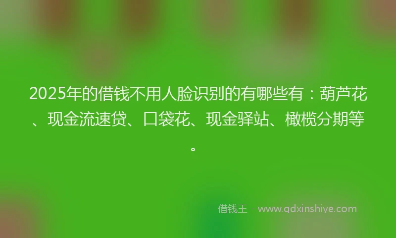 2025年的借钱不用人脸识别的有哪些有：葫芦花、现金流速贷、口袋花、现金驿站、橄榄分期等。