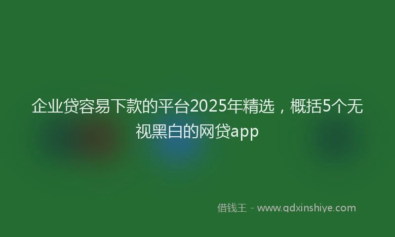 企业贷容易下款的平台2025年精选，概括5个无视黑白的网贷app