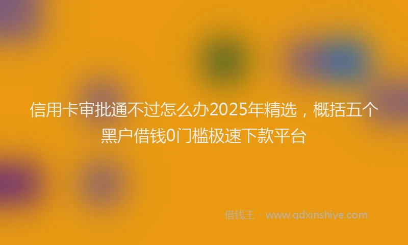 信用卡审批通不过怎么办2025年精选，概括五个黑户借钱0门槛极速下款平台