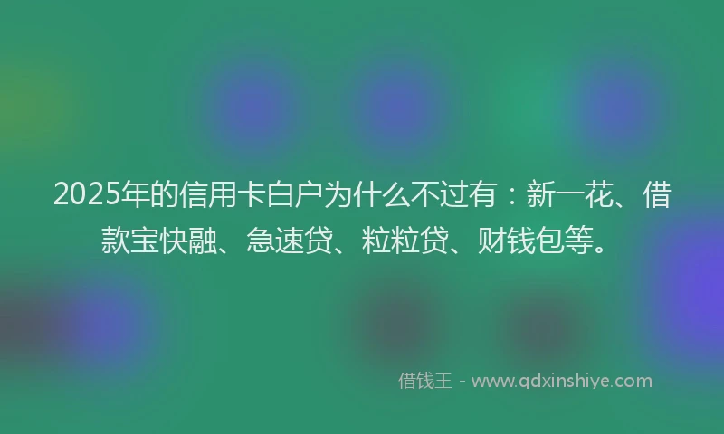 2025年的信用卡白户为什么不过有：新一花、借款宝快融、急速贷、粒粒贷、财钱包等。