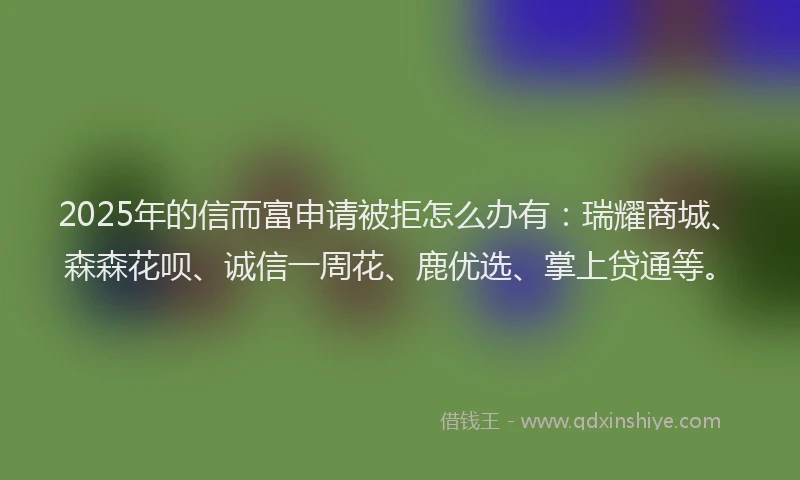 2025年的信而富申请被拒怎么办有：瑞耀商城、森森花呗、诚信一周花、鹿优选、掌上贷通等。