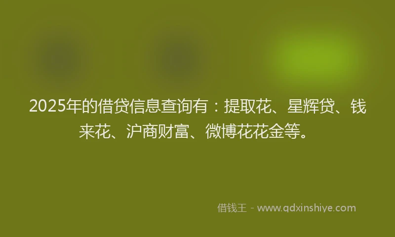 2025年的借贷信息查询有：提取花、星辉贷、钱来花、沪商财富、微博花花金等。