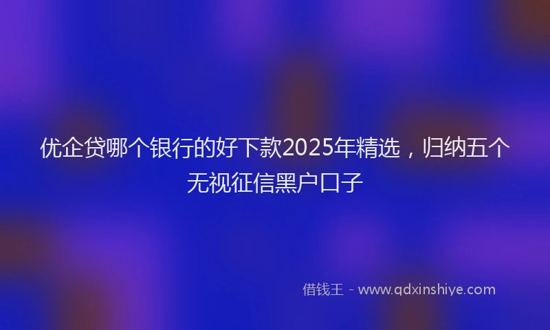 优企贷哪个银行的好下款2025年精选，归纳五个无视征信黑户口子