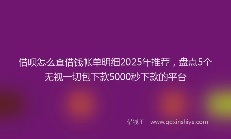 借呗怎么查借钱帐单明细2025年推荐，盘点5个无视一切包下款5000秒下款的平台
