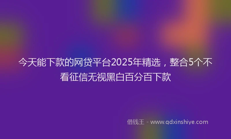 今天能下款的网贷平台2025年精选，整合5个不看征信无视黑白百分百下款