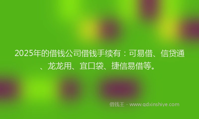 2025年的借钱公司借钱手续有：可易借、信贷通、龙龙用、宜口袋、捷信易借等。
