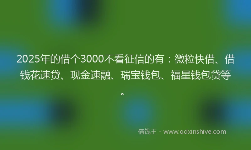 2025年的借个3000不看征信的有：微粒快借、借钱花速贷、现金速融、瑞宝钱包、福星钱包贷等。
