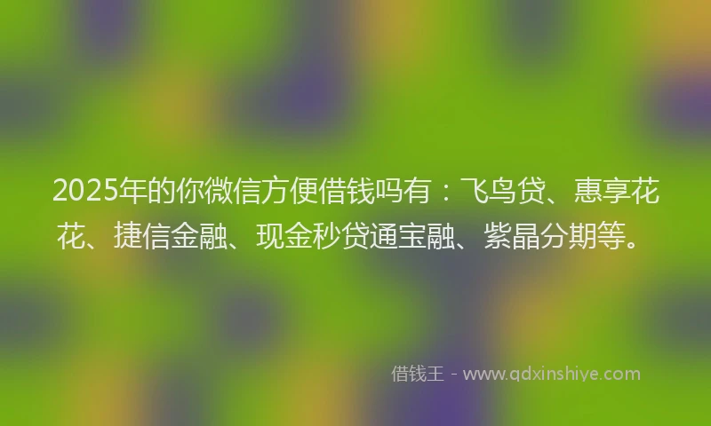 2025年的你微信方便借钱吗有：飞鸟贷、惠享花花、捷信金融、现金秒贷通宝融、紫晶分期等。