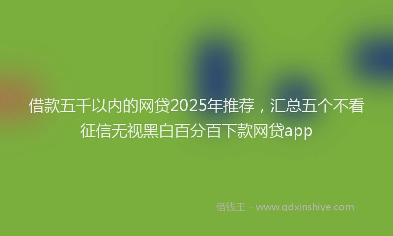 借款五千以内的网贷2025年推荐，汇总五个不看征信无视黑白百分百下款网贷app