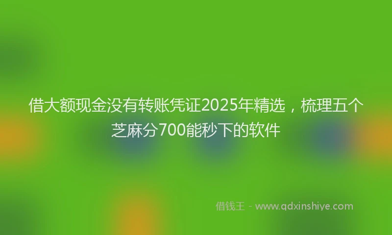 借大额现金没有转账凭证2025年精选，梳理五个芝麻分700能秒下的软件