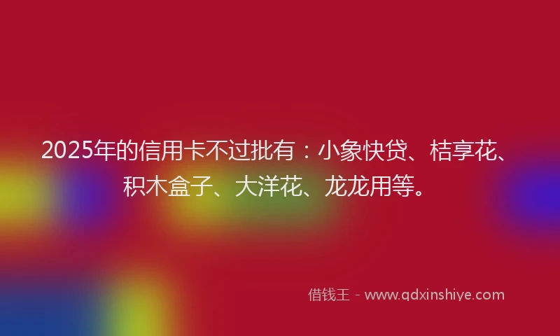 2025年的信用卡不过批有：小象快贷、桔享花、积木盒子、大洋花、龙龙用等。