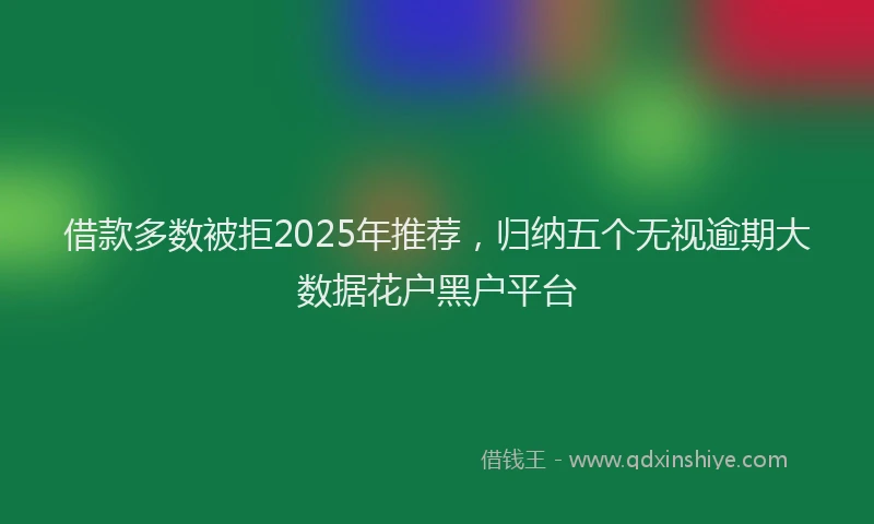 借款多数被拒2025年推荐，归纳五个无视逾期大数据花户黑户平台