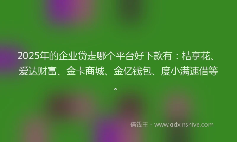 2025年的企业贷走哪个平台好下款有：桔享花、爱达财富、金卡商城、金亿钱包、度小满速借等。