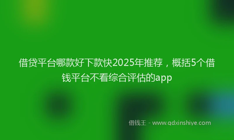 借贷平台哪款好下款快2025年推荐，概括5个借钱平台不看综合评估的app