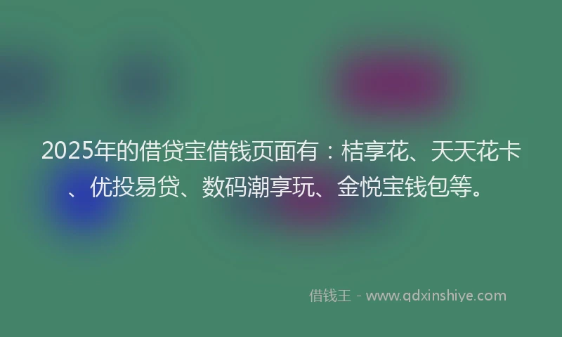 2025年的借贷宝借钱页面有：桔享花、天天花卡、优投易贷、数码潮享玩、金悦宝钱包等。