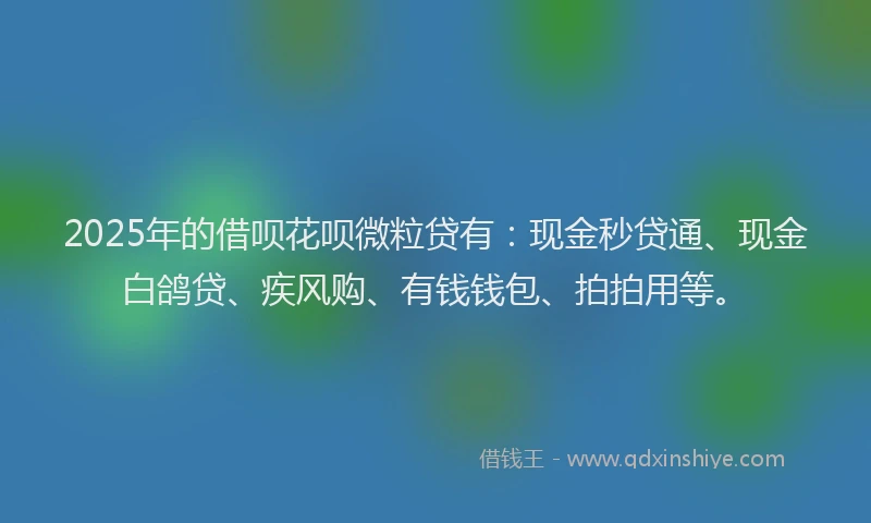 2025年的借呗花呗微粒贷有：现金秒贷通、现金白鸽贷、疾风购、有钱钱包、拍拍用等。