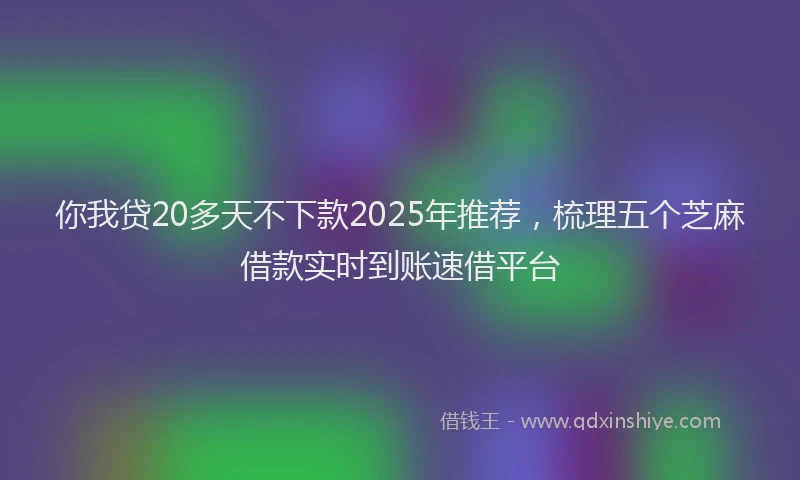 你我贷20多天不下款2025年推荐，梳理五个芝麻借款实时到账速借平台