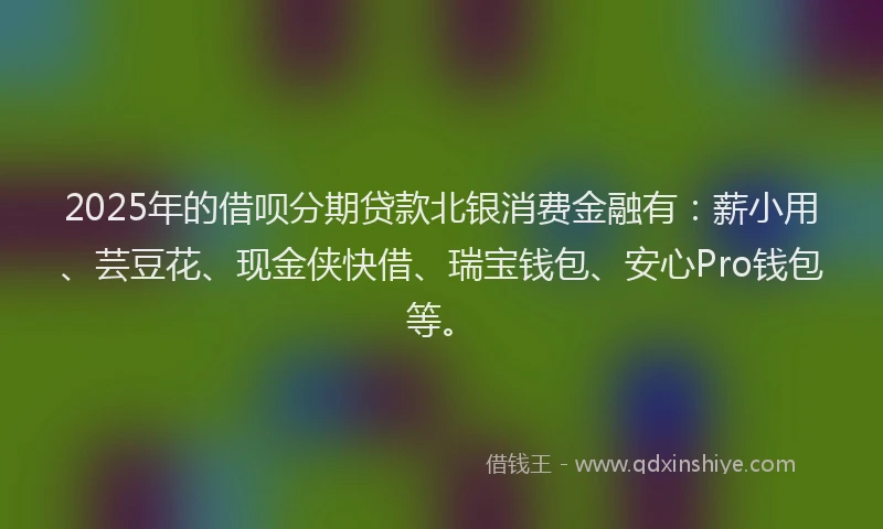 2025年的借呗分期贷款北银消费金融有：薪小用、芸豆花、现金侠快借、瑞宝钱包、安心Pro钱包等。