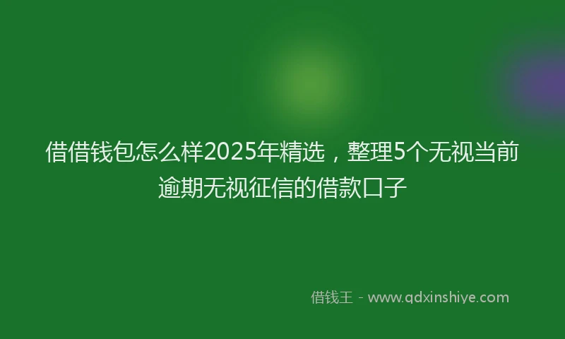 借借钱包怎么样2025年精选，整理5个无视当前逾期无视征信的借款口子