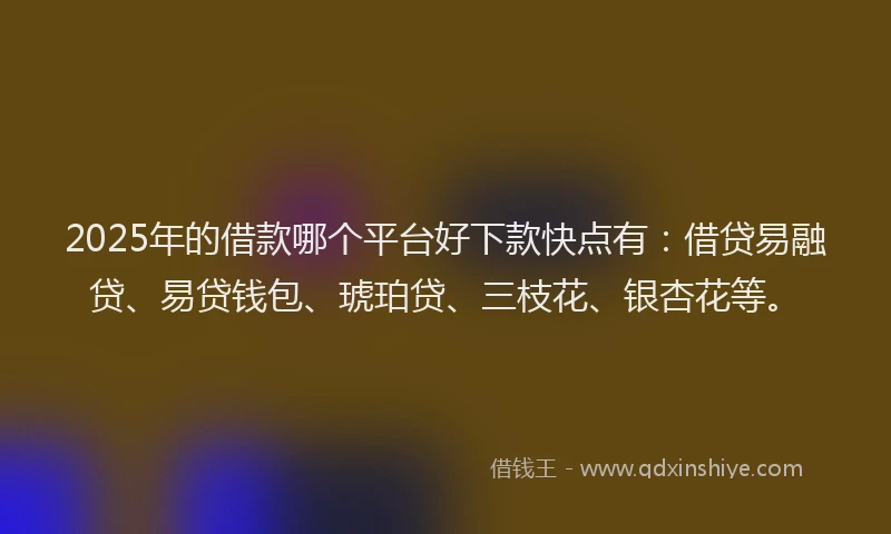 2025年的借款哪个平台好下款快点有：借贷易融贷、易贷钱包、琥珀贷、三枝花、银杏花等。