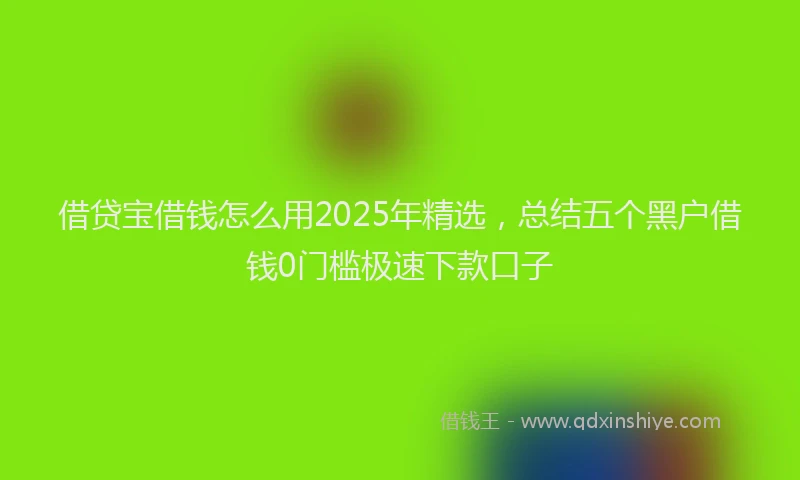 借贷宝借钱怎么用2025年精选，总结五个黑户借钱0门槛极速下款口子